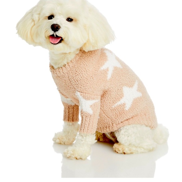 Meet your Posher, Gabriela - Picture 1 of 1